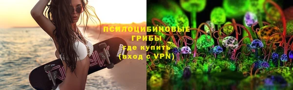 стаф Новокубанск