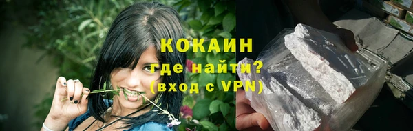 соль ск Новозыбков