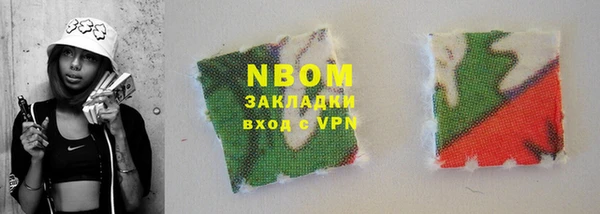 стаф Новокубанск