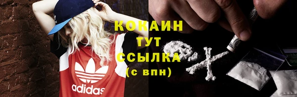 ПСИЛОЦИБИНОВЫЕ ГРИБЫ Новодвинск
