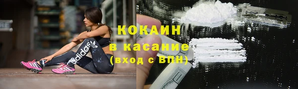 ПСИЛОЦИБИНОВЫЕ ГРИБЫ Новодвинск