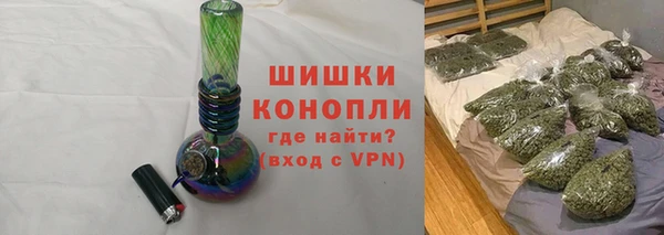 соль ск Новозыбков