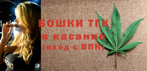 соль ск Новозыбков