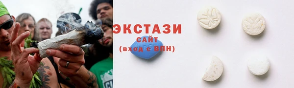 соль ск Новозыбков