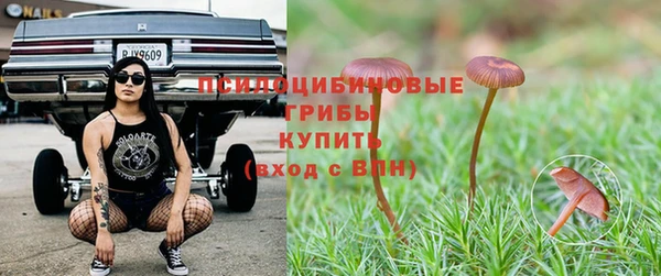 стаф Новокубанск