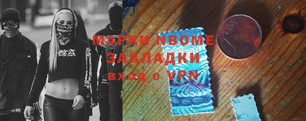 соль ск Новозыбков