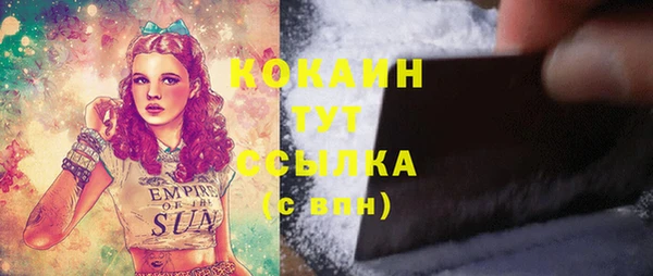 соль ск Новозыбков