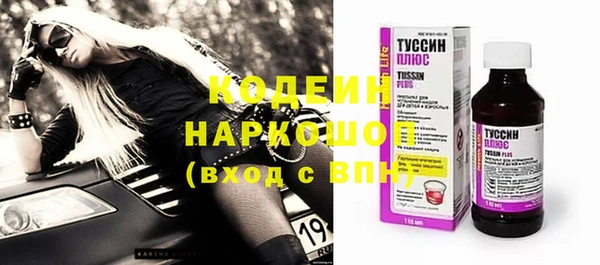 соль ск Новозыбков