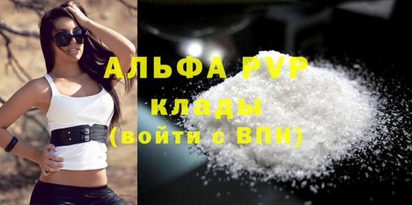 соль ск Новозыбков