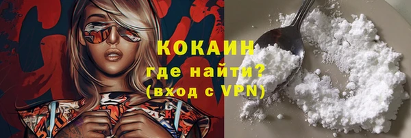 стаф Новокубанск