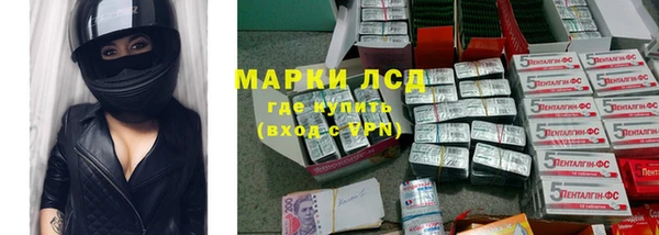 ПСИЛОЦИБИНОВЫЕ ГРИБЫ Новодвинск