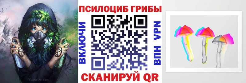 где купить   Салават  Псилоцибиновые грибы прущие грибы 